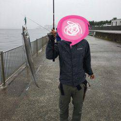 スマートタチウオ